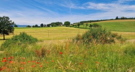 Alby-sur-Chéran Terrain à bâtir - 2149346-10163annonce120250106LcZ9u.jpeg Maisons France Confort