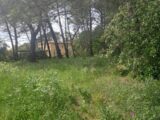 Terrain à bâtir à Belcodène (13720) 2149422-11238annonce3202505065gsSe.jpeg Maisons France Confort