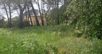 Belcodène Terrain à bâtir - 2149422-11238annonce3202505065gsSe.jpeg Maisons France Confort