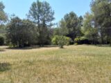 Maison à construire à Le Val (83143) 2149318-10744annonce220250113qTiud.jpeg Maisons France Confort