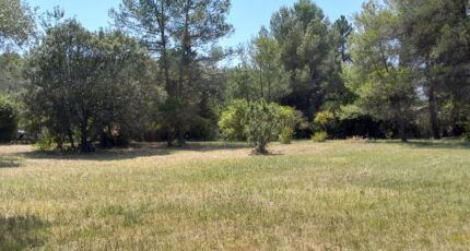 Le Val Maison neuve - 2149318-10744annonce220250113qTiud.jpeg Maisons France Confort