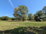 Terrain à bâtir à Châteauneuf-Grasse (06740) 2149481-9270annonce220250113bxpcc.jpeg Maisons France Confort