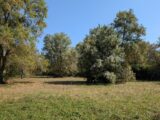 Terrain à bâtir à Châteauneuf-Grasse (06740) 2149481-9270annonce320250113yyi2l.jpeg Maisons France Confort