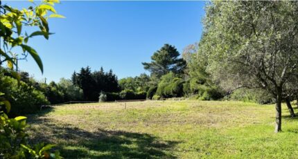 Mougins Terrain à bâtir - 2149482-9270annonce120250113i6U1Z.jpeg Maisons France Confort