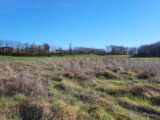 Terrain à bâtir à Bergerac (24100) 2149431-11103annonce1202505061GkCf.jpeg Maisons France Confort