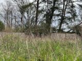 Terrain à bâtir à Mareil-le-Guyon (78490) 2149595-11365annonce420250506OXSPI.jpeg Maisons France Confort