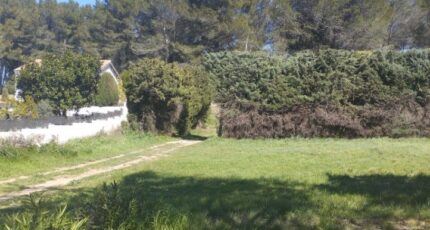 Fontvieille Maison neuve - 2149473-11191annonce320250506KSwzv.jpeg Maisons France Confort