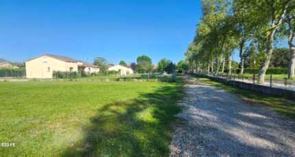 Saint-Sulpice Maison neuve - 2149194-11178annonce120250505mlROX.jpeg Maisons France Confort