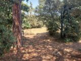 Terrain à bâtir à Puget-sur-Argens (83480) 2149702-11157annonce1202505060nsJ8.jpeg Maisons France Confort