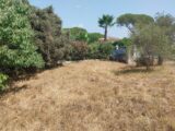 Terrain à bâtir à Puget-sur-Argens (83480) 2149702-11157annonce220250506pNluo.jpeg Maisons France Confort