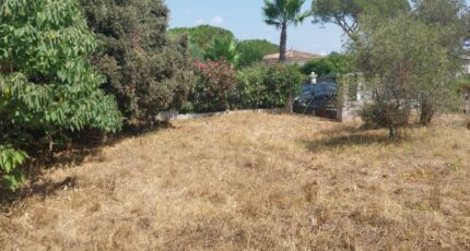 Puget-sur-Argens Terrain à bâtir - 2149702-11157annonce220250506pNluo.jpeg Maisons France Confort