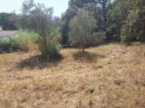Terrain à bâtir à Puget-sur-Argens (83480) 2149702-11157annonce320250506VFBuR.jpeg Maisons France Confort