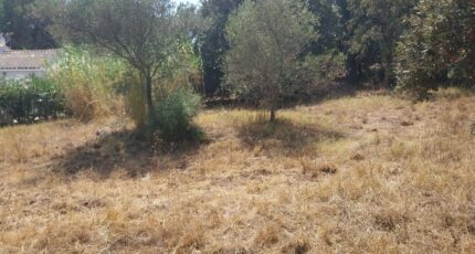 Puget-sur-Argens Terrain à bâtir - 2149702-11157annonce320250506VFBuR.jpeg Maisons France Confort