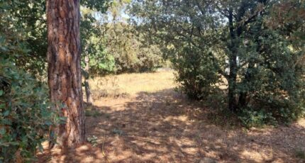 Puget-sur-Argens Maison neuve - 2149704-11157annonce1202505060nsJ8.jpeg Maisons France Confort