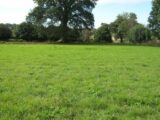 Maison à construire à Mouen (14790) 2067538-9930annonce120250131RbXic.jpeg Maisons France Confort
