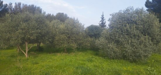 Terrain à bâtir à Puyricard, Provence-Alpes-Côte d'Azur