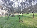 Terrain à bâtir à Draguignan (83300) 2149866-9891annonce22025050676VgF.jpeg Maisons France Confort