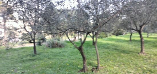 Terrain à bâtir à , Var