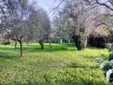 Terrain à bâtir à Draguignan (83300) 2149866-9891annonce32025050635xAf.jpeg Maisons France Confort