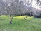 Terrain à bâtir à Draguignan (83300) 2149866-9891annonce420250506yLKC1.jpeg Maisons France Confort