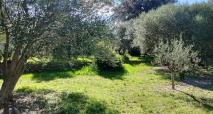 Draguignan Terrain à bâtir - 2149866-9891annonce320250506TPgQG.jpeg Maisons France Confort