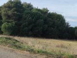 Terrain à bâtir à Autignac (34480) 2150019-11018annonce320250506S5fCx.jpeg Maisons France Confort