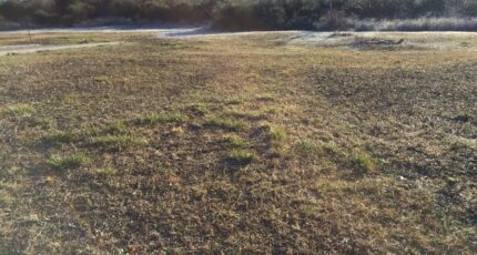 Manosque Terrain à bâtir - 2092362-7050annonce120250227mmVRl.jpeg Maisons France Confort