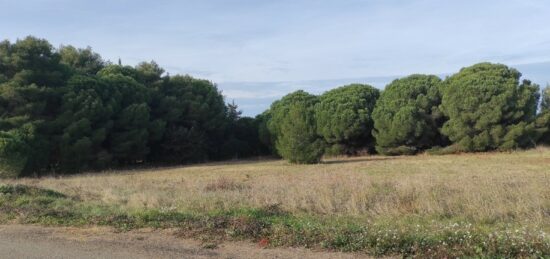 Terrain à bâtir à , Hérault