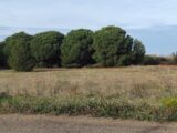 Terrain à bâtir à Autignac (34480) 2150041-11018annonce420250506K4EQ8.jpeg Maisons France Confort
