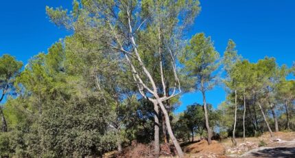 Pierrefeu-du-Var Terrain à bâtir - 2081827-11079annonce320241018r1zSb.jpeg Maisons France Confort