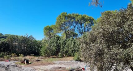 Pierrefeu-du-Var Maison neuve - 2081828-11079annonce220241018faEQF.jpeg Maisons France Confort