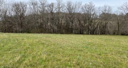 Carlux Terrain à bâtir - 2150360-11160annonce1202505069k022.jpeg Maisons France Confort