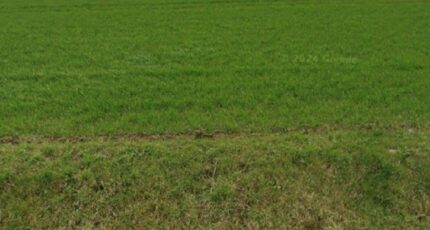 Wancourt Maison neuve - 2150129-6159annonce220250506Gpi3g.jpeg Maisons France Confort