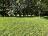 Terrain à bâtir à Saint-Vallier-de-Thiey (06460) 2150561-5826annonce220250507Shw2R.jpeg Maisons France Confort
