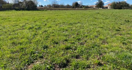 Tesson Maison neuve - 2150977-11194annonce1202505079Wx5O.jpeg Maisons France Confort