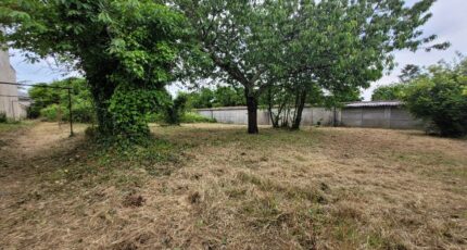 Cognac Maison neuve - 2151502-11189annonce1202505075Nhtv.jpeg Maisons France Confort