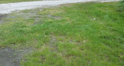 Asnières-la-Giraud Terrain à bâtir - 2151624-11245annonce1202505078l1TW.jpeg Maisons France Confort