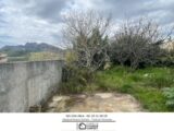 Terrain à bâtir à Roquebrune-sur-Argens (83520) 2151661-3951annonce120250507tGJzl.jpeg Maisons France Confort