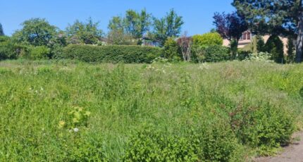 Metz Maison neuve - 2150615-5138annonce320250507x2qtT.jpeg Maisons France Confort