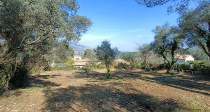 Peymeinade Terrain à bâtir - 2151626-9911annonce120250507WQd8E.jpeg Maisons France Confort