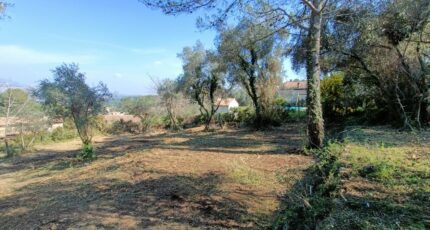 Peymeinade Terrain à bâtir - 2151626-9911annonce220250507OZE9i.jpeg Maisons France Confort