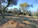 Terrain à bâtir à Peymeinade (06530) 2151626-9911annonce420250507TTSOF.jpeg Maisons France Confort