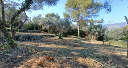 Peymeinade Terrain à bâtir - 2151626-9911annonce420250507TTSOF.jpeg Maisons France Confort