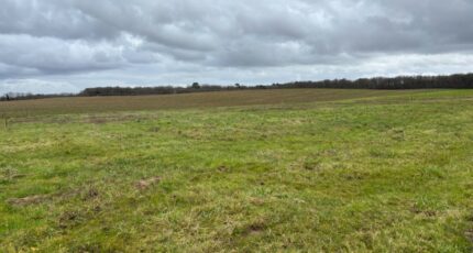 Saint-Agne Terrain à bâtir - 2144826-11104annonce4202502248cxM7.jpeg Maisons France Confort