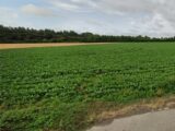 Maison à construire à Beuvry (62660) 2152701-11147annonce120250131mgfEx.jpeg Maisons France Confort