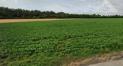 Beuvry Maison neuve - 2152701-11147annonce120250131mgfEx.jpeg Maisons France Confort