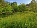 Maison à construire à Gréasque (13850) 2152828-11041annonce120250509BmfWe.jpeg Maisons France Confort
