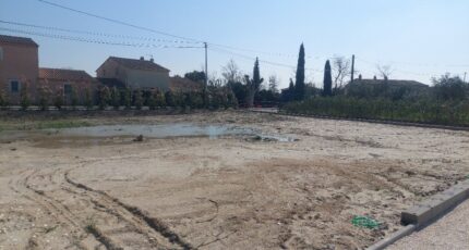 Châteaurenard Maison neuve - 2120331-417annonce220250328dBTZy.jpeg Maisons France Confort