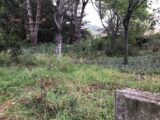 Maison à construire à Pinet (34850) 2153320-10245annonce120250509fh63M.jpeg Maisons France Confort