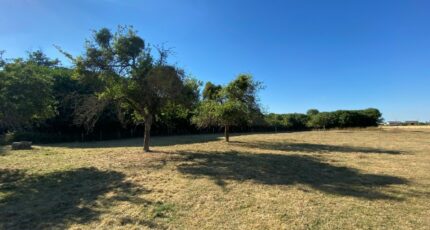 Beaubray Maison neuve - 2152581-9696annonce220250509DxmmO.jpeg Maisons France Confort